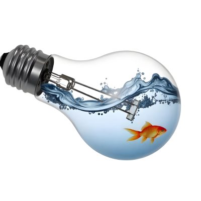 A Light Bulb Filled With Water And A Goldfish Swimming Inside The Background Is Plain White The Light Bulb Is Lying On Its Side 21 C57b