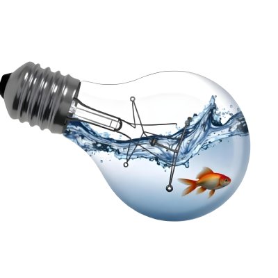 A Light Bulb Filled With Water And A Goldfish Swimming Inside The Background Is Plain White The Light Bulb Is Lying On Its Side 23 B5a8