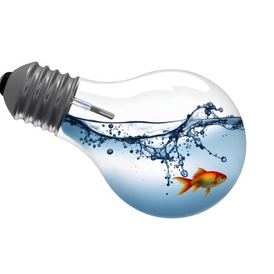A Light Bulb Filled With Water And A Goldfish Swimming Inside The Background Is Plain White The Light Bulb Is Lying On Its Side 24 A1ca