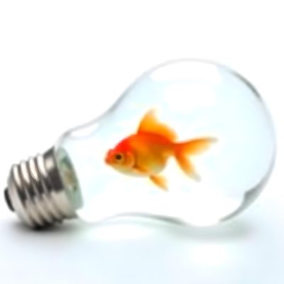 A Light Bulb Filled With Water And A Goldfish Swimming Inside The Background Is Plain White The Light Bulb Is Lying On Its Side 3 A926