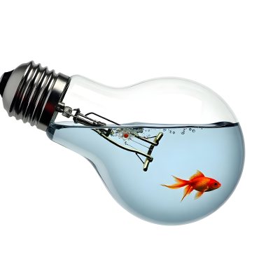 A Light Bulb Filled With Water And A Goldfish Swimming Inside The Background Is Plain White The Light Bulb Is Lying On Its Side 8 Ab93