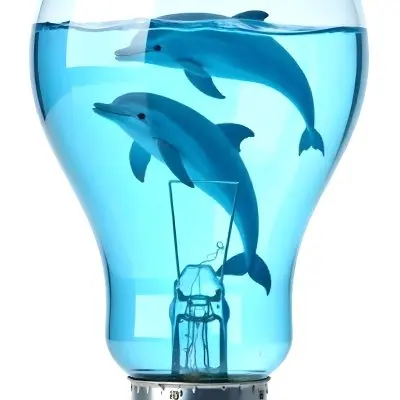 A Light Bulb Filled With Water And Dolphins Swimming Inside The Background Is Plain White The Light Bulb Base Is Silver 14 D595