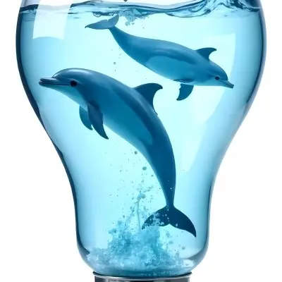 A Light Bulb Filled With Water And Dolphins Swimming Inside The Background Is Plain White The Light Bulb Base Is Silver 3 3ed3