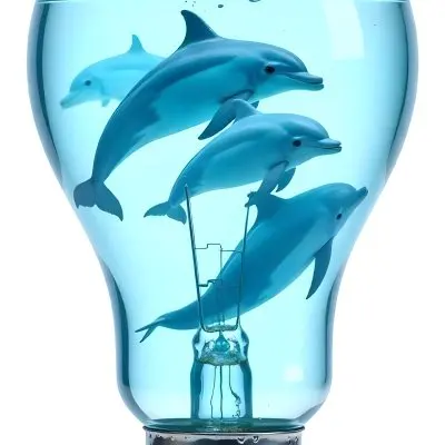 A Light Bulb Filled With Water And Dolphins Swimming Inside The Background Is Plain White The Light Bulb Base Is Silver 7 96ea