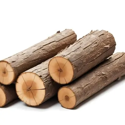 A Pile Of Firewood Logs With Bark Arranged In A Stack Showing The Texture And The Rough Texture Of The Bark On A White Background 17 2474