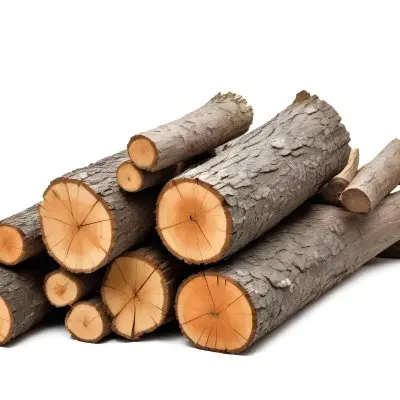 A Pile Of Firewood Logs With Bark Arranged In A Stack Showing The Texture And The Rough Texture Of The Bark On A White Background 23 Adbe