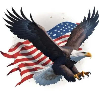 Digital Painting A Bald Eagle With Its Wings Spread Soaring Against A Background Of The American Flag The Eagle Has A Fierce Expression And Its Feathers Are Detailed With Stars And Stripes Representing The Patrio 17 Fa26