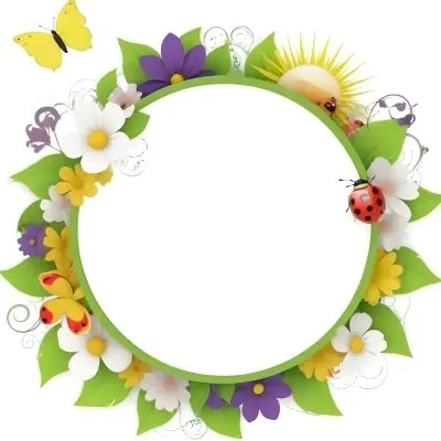 Digital Painting Circle Frame With Green Border Decorated With Flowers Leaves A Butterfly A Ladybug And A Sun In A White Background Bold And Slim Lines Brush Strokes 14 A106