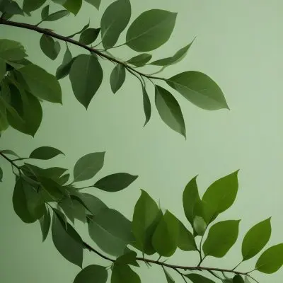 Green Leaves On A Branch With Varying Shades Of Green And Different Leaf Shapes And Sizes 27 0138