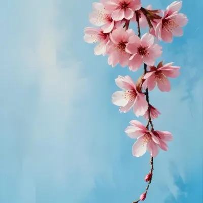 Pink Cherry Blossom Flowers Hanging From Branches Against A Light Blue Background 46 285c