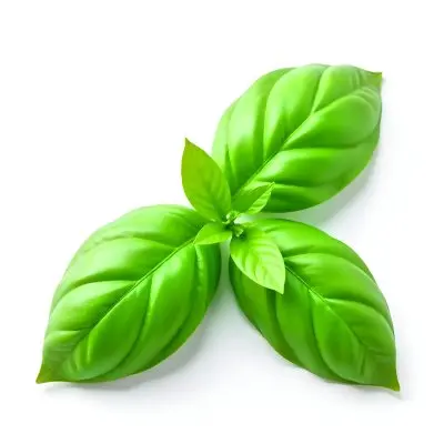Three Basil Leaves Vibrant Green Color Smooth Texture Arranged In A Triangular Formation Isolated On A White Background Natural Light Culinary Herb 7 6552