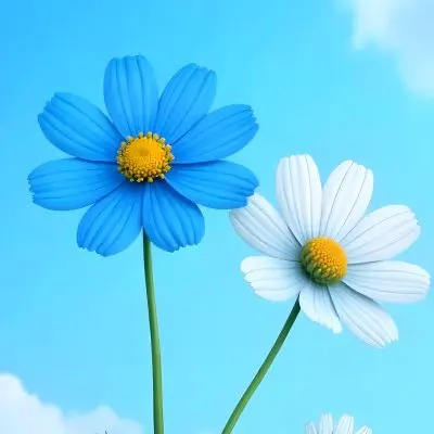 Three Cosmos Flowers Two Blue And One Blue With White Centers Against A Vibrant Blue Sky With Soft Scattered Clouds Creating A Cheerful And Vibrant Floral Scene 12 Fba3