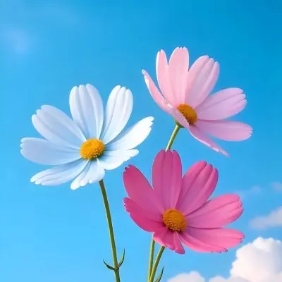 Three Cosmos Flowers Two Blue And One Blue With White Centers Against A Vibrant Blue Sky With Soft Scattered Clouds Creating A Cheerful And Vibrant Floral Scene 4 38fe