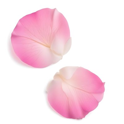 Two White Rose Petals With A Gradient From White To White Isolated On A Clean White Background Soft Lighting Macro Photography 33 6294