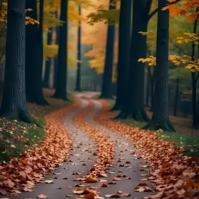 A Dirt Path Winding Through A Forest
