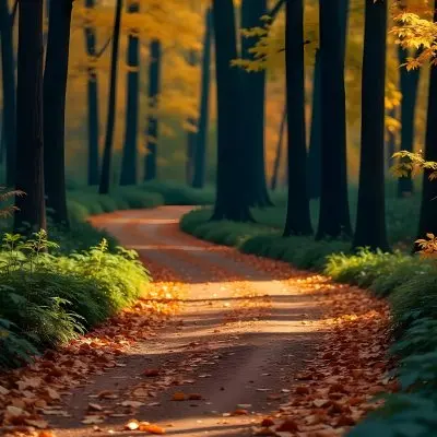 A Dirt Path Winding Through A Forest With Tall Trees And Autumn Foliage Creating A Warm Cozy Atmosphere 13 127a