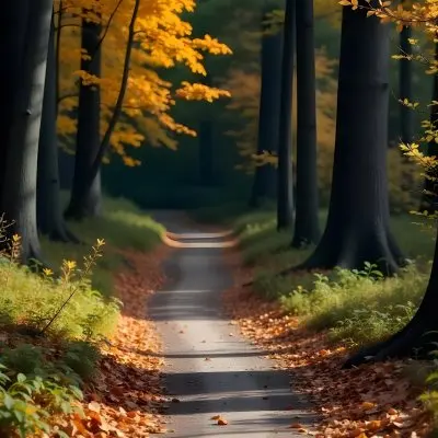 A Dirt Path Winding Through A Forest With Tall Trees And Autumn Foliage Creating A Warm Cozy Atmosphere 14 52fd