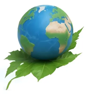 A Globe On Top Of A Green Leaf The Globe Shows The Continents And Oceans The Leaf Has Visible Veins Green Background 16 D8c8