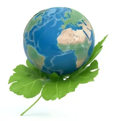A Globe On Top Of A Green Leaf The Globe Shows The Continents And Oceans The Leaf Has Visible Veins Green Background 17 5a2c