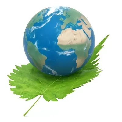 A Globe On Top Of A Green Leaf The Globe Shows The Continents And Oceans The Leaf Has Visible Veins Green Background 19 2548