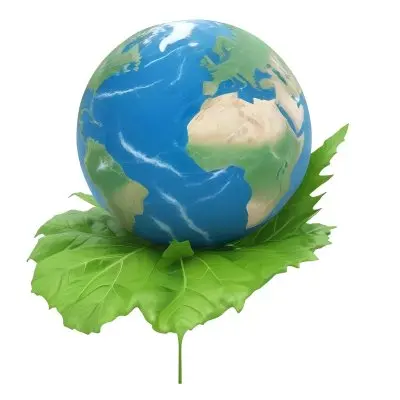 A Globe On Top Of A Green Leaf The Globe Shows The Continents And Oceans The Leaf Has Visible Veins Green Background 27 16e6
