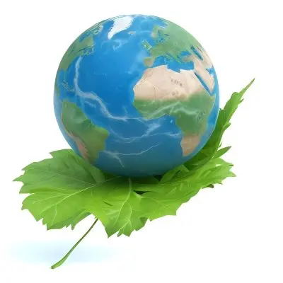 A Globe On Top Of A Green Leaf The Globe Shows The Continents And Oceans The Leaf Has Visible Veins Green Background 28 9613