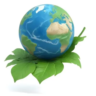 A Globe On Top Of A Green Leaf The Globe Shows The Continents And Oceans The Leaf Has Visible Veins Green Background 37 8d98