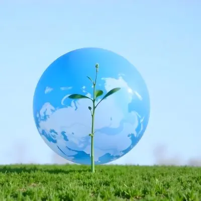 A Globe With A Plant Growing Inside On A Green Grass Field With A Clear Blue Sky In The Background Symbolizing Environmental Conservation And Sustainability 7 4d97