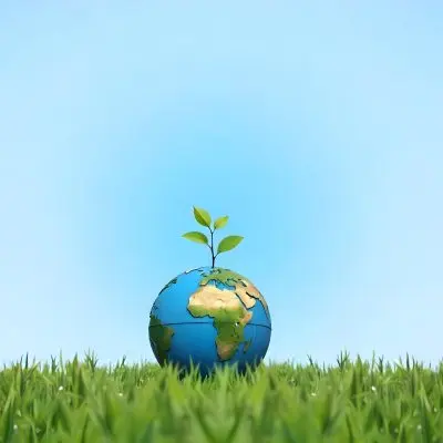 A Globe With A Plant Growing Inside On A Green Grass Field With A Clear Blue Sky In The Background Symbolizing Environmental Conservation And Sustainability 8 A6c1