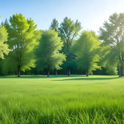 A Green Grass Field With Trees In The Background Sunny Day Blue Sky Vibrant Colors Natural Light Peaceful Atmosphere Lush Greenery Clear Horizon 24 6c1d