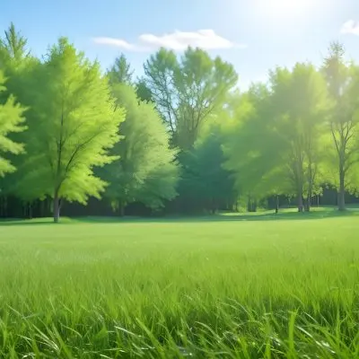 A Green Grass Field With Trees In The Background Sunny Day Blue Sky Vibrant Colors Natural Light Peaceful Atmosphere Lush Greenery Clear Horizon 30 31ef