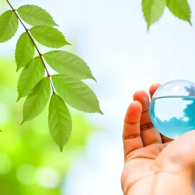 A Hand Holding A Blue Glass Globe Green Leaves With Water Drops Bright Sky In The Background Concept Of Environmental Protection And Sustainability 29 39ab