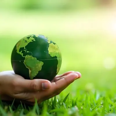A Hand Holding A Green Earth Globe With Grass Texture In A Green Grass Background 17 44bf
