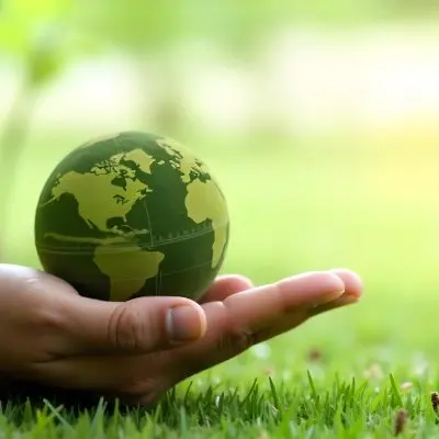 A Hand Holding A Green Earth Globe With Grass Texture In A Green Grass Background 20 Fb9a
