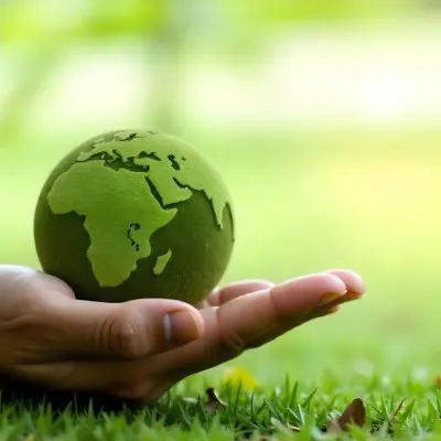 A Hand Holding A Green Earth Globe With Grass Texture In A Green Grass Background 25 1d09
