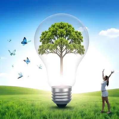 A Hand Holding A Light Bulb With A Green Recycle Symbol And A Tree Inside In A Green Field With A Blue Sky And White Clouds 9 B2f4