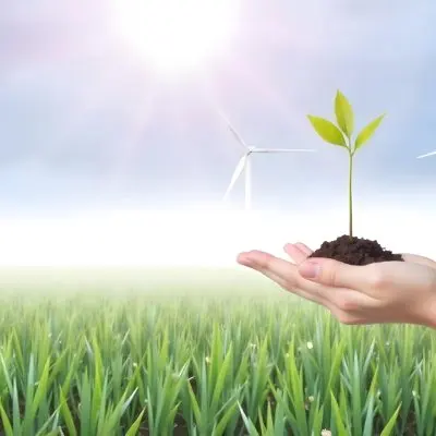 A Hand Holding A Plant With Green Leaves And Soil Wind Turbines In The Background Green Grass And Cloudy Sky 7 768c