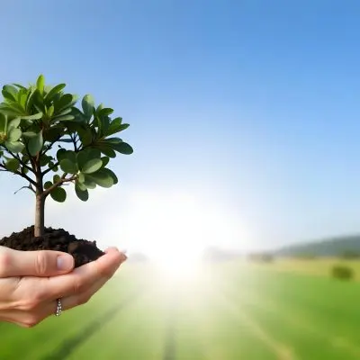 A Hand Holding A Small Tree With Green Leaves And Brown Soil With A Blurred Background Of A Road And A Blue Sky 10 7ead