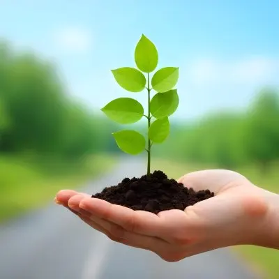 A Hand Holding A Small Tree With Green Leaves And Brown Soil With A Blurred Background Of A Road And A Blue Sky 2 A7e3