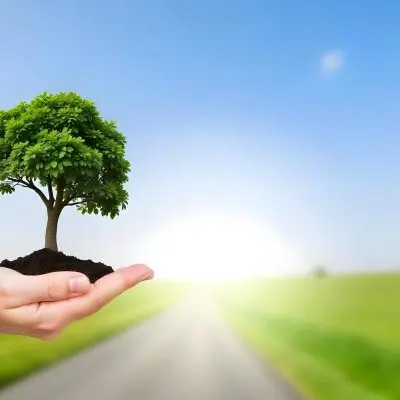 A Hand Holding A Small Tree With Green Leaves And Brown Soil With A Blurred Background Of A Road And A Blue Sky 24 6c92