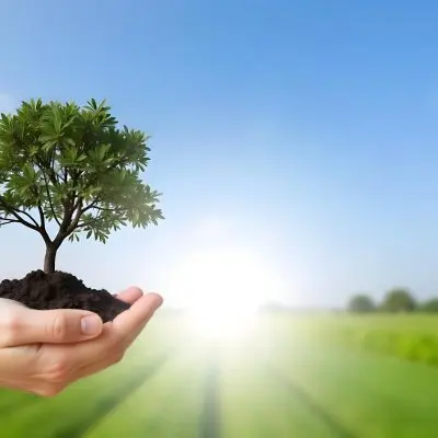 A Hand Holding A Small Tree With Green Leaves And Brown Soil With A Blurred Background Of A Road And A Blue Sky 29 Df06