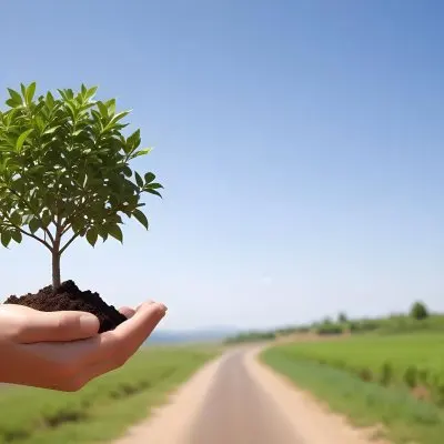 A Hand Holding A Small Tree With Green Leaves And Brown Soil With A Blurred Background Of A Road And A Blue Sky 30 2fbe