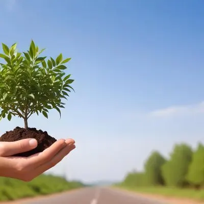 A Hand Holding A Small Tree With Green Leaves And Brown Soil With A Blurred Background Of A Road And A Blue Sky 32 61fc
