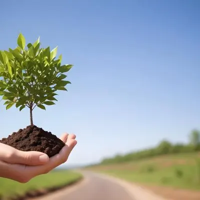 A Hand Holding A Small Tree With Green Leaves And Brown Soil With A Blurred Background Of A Road And A Blue Sky 34 Cf77