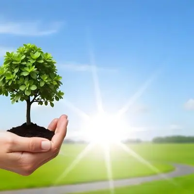 A Hand Holding A Small Tree With Green Leaves And Brown Soil With A Blurred Background Of A Road And A Blue Sky 6 6c3f