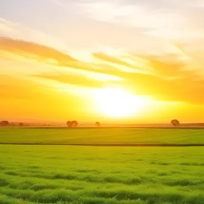 A Scenic Landscape With A Lush Green Field Under A Vibrant Orange And Yellow Sunset Sky 5 0bbf