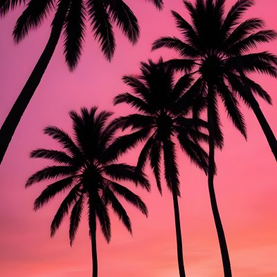 Silhouettes Of Palm Trees Against A Vibrant Pink And Orange Sunset Sky 89 E4f1