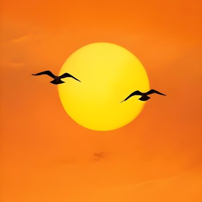 Two Birds Flying Against A Large Bright Yellow Sun Set Against An Orange Sky The Background Features Soft Blended Clouds In Shades Of Orange And Yellow 24 B1d2