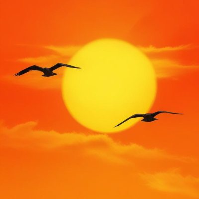Two Birds Flying Against A Large Bright Yellow Sun Set Against An Orange Sky The Background Features Soft Blended Clouds In Shades Of Orange And Yellow 6 Afb0