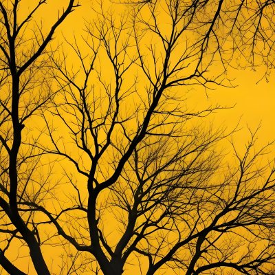 Bare Tree Branches Against A Vibrant Yellow Sky Creating An Abstract And Moody Autumn Scene 18 F8d0